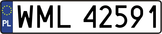 WML42591