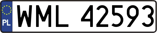 WML42593