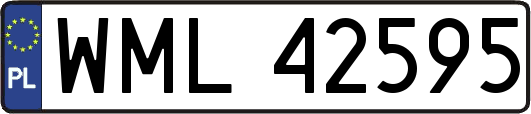 WML42595