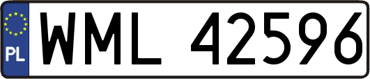 WML42596