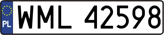 WML42598