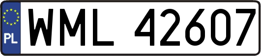WML42607