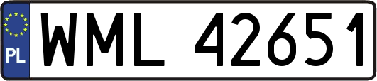 WML42651