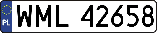 WML42658