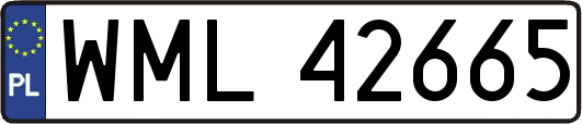 WML42665