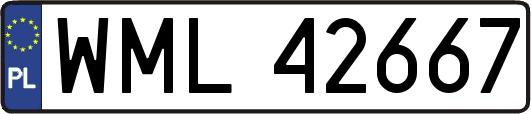 WML42667