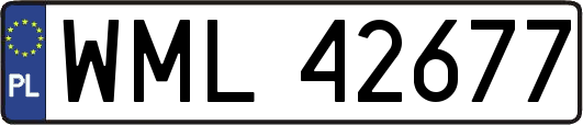 WML42677