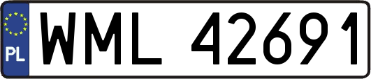 WML42691