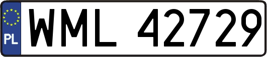 WML42729