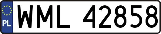 WML42858
