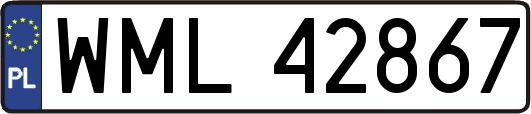 WML42867