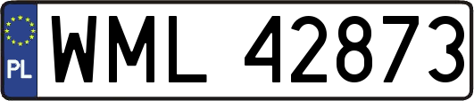 WML42873