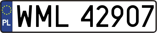 WML42907