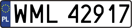 WML42917