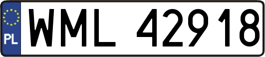 WML42918