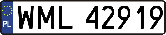 WML42919