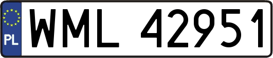 WML42951