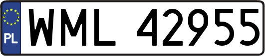 WML42955