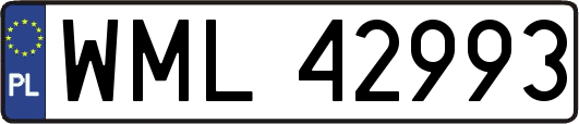 WML42993