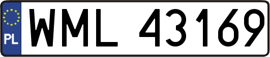 WML43169