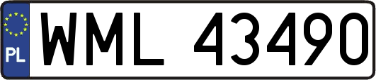 WML43490
