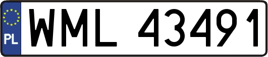 WML43491