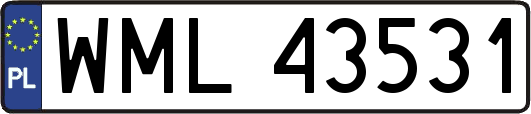 WML43531