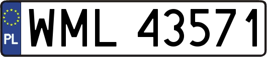 WML43571