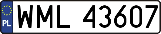 WML43607
