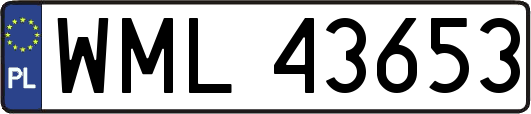 WML43653