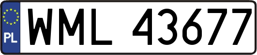 WML43677