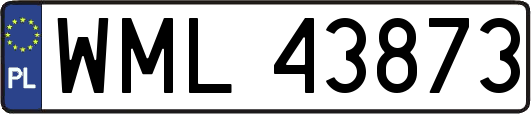 WML43873