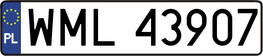 WML43907