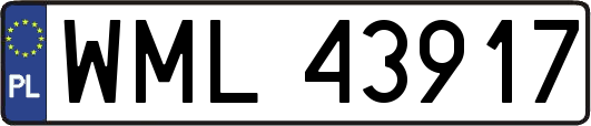 WML43917