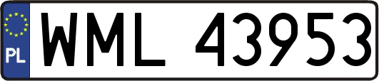 WML43953