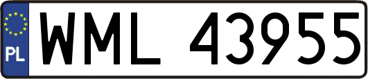 WML43955