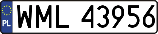 WML43956