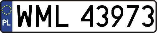 WML43973