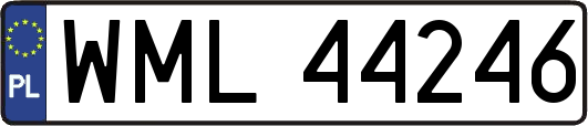 WML44246