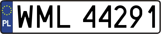 WML44291