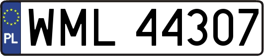 WML44307