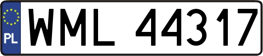 WML44317