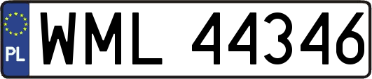 WML44346