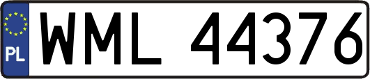 WML44376