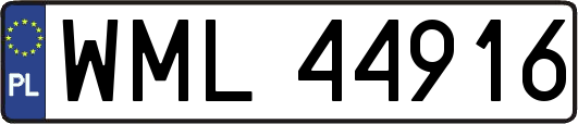 WML44916