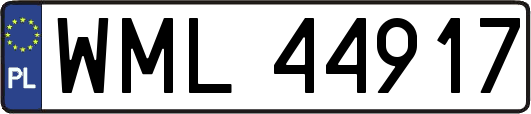 WML44917