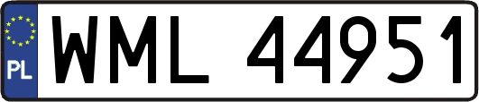 WML44951