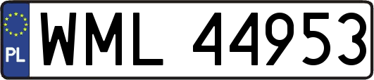 WML44953