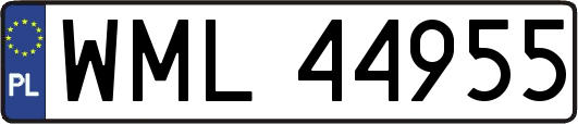 WML44955
