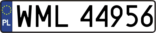 WML44956